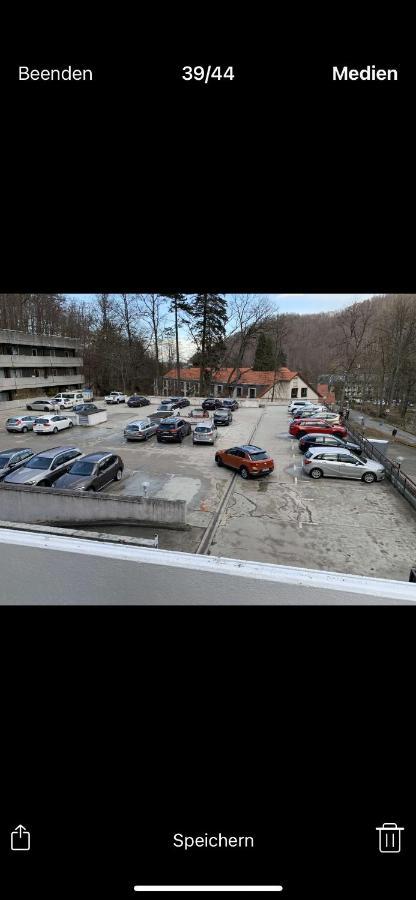 Mariposa 4 incl Pool&Sauna Bad Harzburg Esterno foto